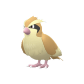 Buy Pidgey in Brilliant Diamond & Shining Pearl
